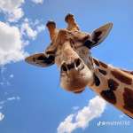 Анастасия, фото