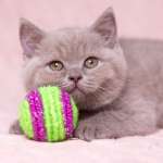 Наталия, фото