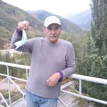 Serg, 72 года, хочет пообщаться – Хочу общения с женщиной, в г.Алматы