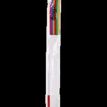 Лента для художественной гимнастики AGR-201 4м, с палочкой 46 см, радуга, в Сочи