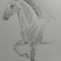 Рисунок лошади в профиль, в Энгельсе