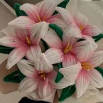 Цветы, в Кольчугине