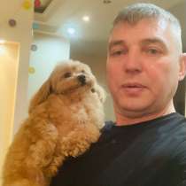 Плиточник, в Москве