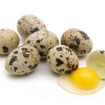 Перепелиные яйца домашние, в г.Буча