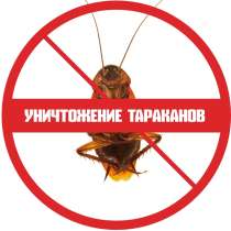 Уничтожение тараканов в квартире, в г.Минск
