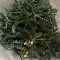 Нобилис, в Волжский