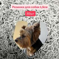 Резинки для собак 350шт, в Владимире