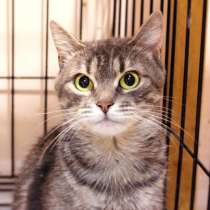 Добрая Камила в поисках друга, в Москве