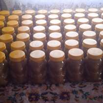 Продаю мед, в Барнауле