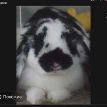 Куплю или возьму, в Красноярске