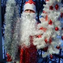 Дед Мороз у Вас дома г. Видное (трезвый), в Видном