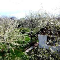 дачу,недорого, 7-й км,док.РФ., в Севастополе