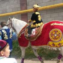 Продам попону праздничную на большую лошадь, в г.Алматы