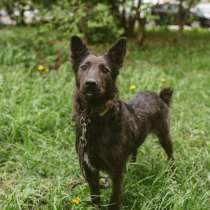 Крошечка Люсенька с грустной судьбой мечтает обрести дом, в Москве