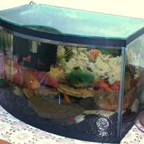 Продам аквариум 30 литров, в Иркутске