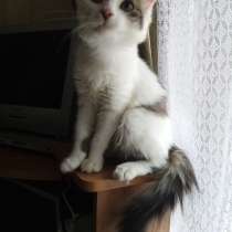 Просто ангел, в Москве