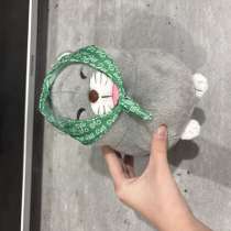 Кошка в косынке, в Москве