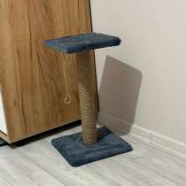 Когтеточка для кошек, в Санкт-Петербурге