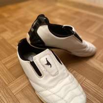 Степки тхэквондо, в Тольятти