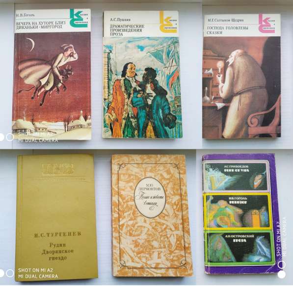 Классическая русская литература в Тюмени фото 12
