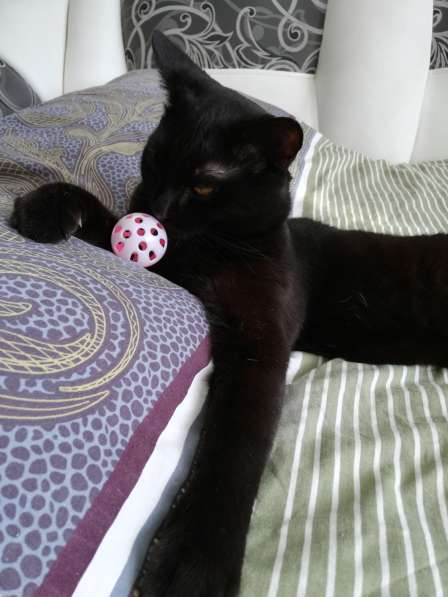 В свези с переездом в Ачинске фото 3