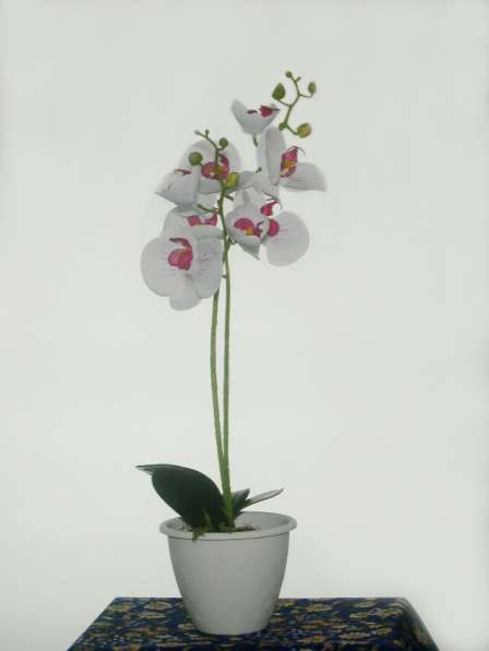 Растения интерьерные искусственные (цветы орхидеи) в Коврове в Коврове