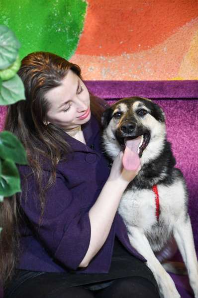 Чудесный пёс Барни в добрые руки в Москве фото 3