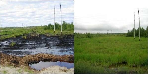 Сапропелевая рекультивация техногенно нарушенных земель в Астрахани фото 7