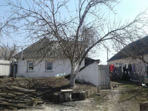 Продается дом с. Белянка в Белгороде фото 6