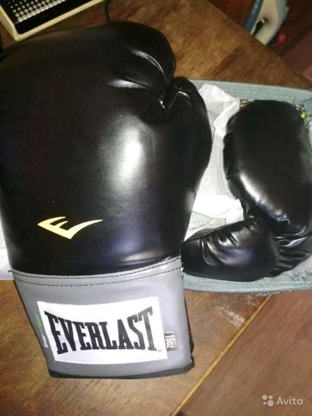 Боксерские перчатки Everlast в Москве