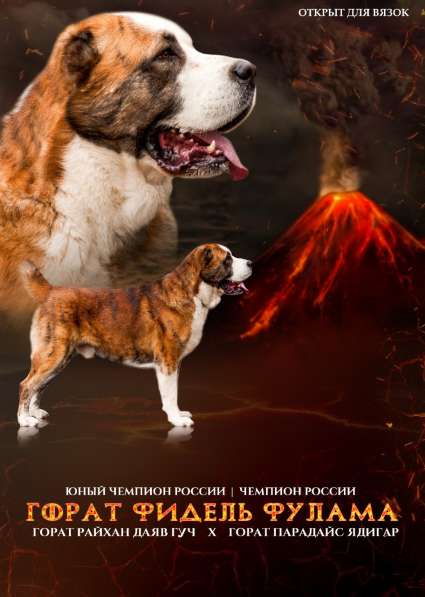 Вязка в Москве фото 8