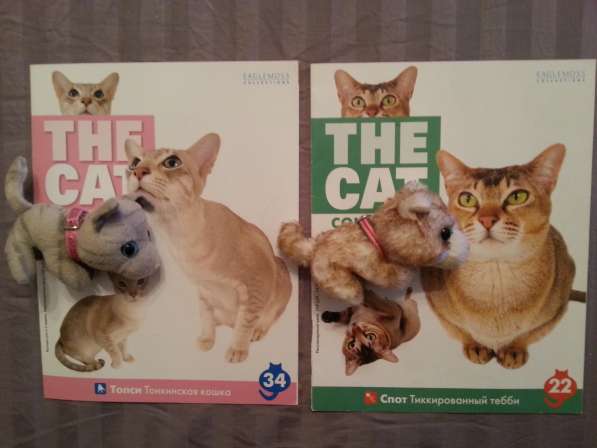 Котята и журналы из серии "The Cat Collection" в Москве фото 3