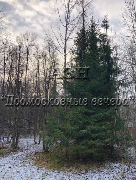 realty_mapper3.plot_in_locationСадовое некоммерческое тов-во. Площадь 20.00 сот.Есть Электричество. в Москве фото 3