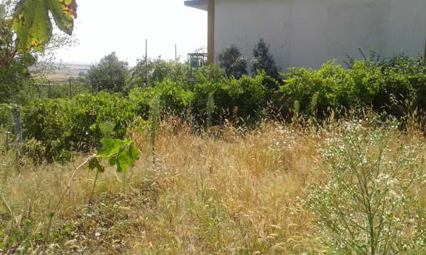 Срочно Продам дом (дача) в фото 30