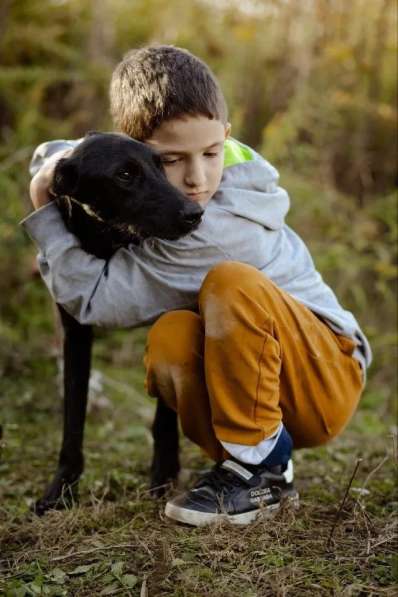 Чудесный Лорд ищет свою семью в Москве