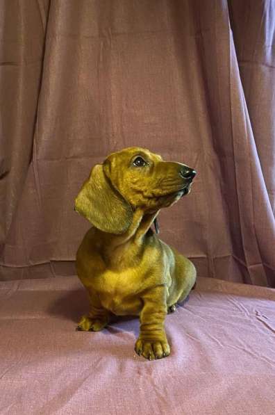 Предлагается к продаже в Северодвинске