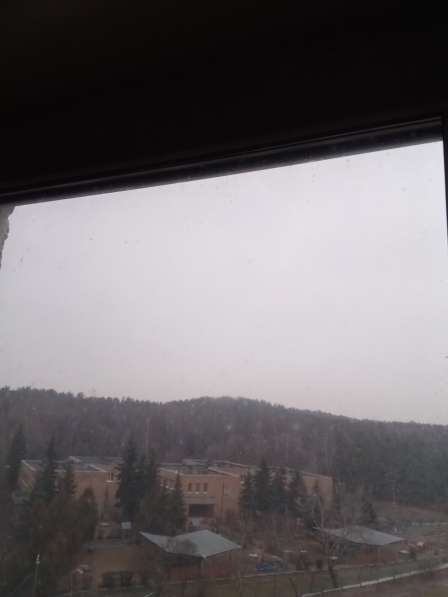 Классная, уютная, толстостенная квартира, био, ЭКО пейзаж