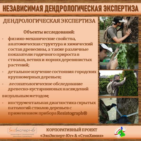 СИСТЕМА УПРАВЛЕНИЯ ФИТОСАНИТАРНЫМ СОСТОЯНИЕМ ЭКОСИСТЕМ в Сочи фото 26