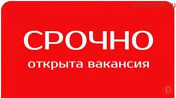 В частную компанию требуется помощник бухгалтера