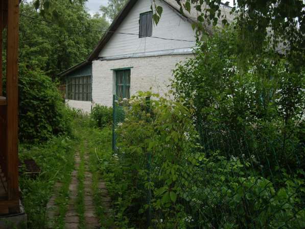 Дом у реки и леса в деревне Коровино Калужской области в Калуге фото 5