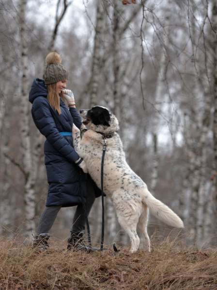 Благородный Герцог ищет семью в Москве фото 37