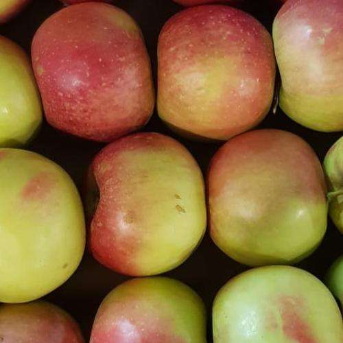 Яблоки Айдаред в Краснодаре