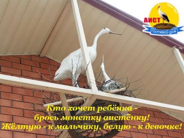 Размещение отдыхающих в Минусинске фото 8