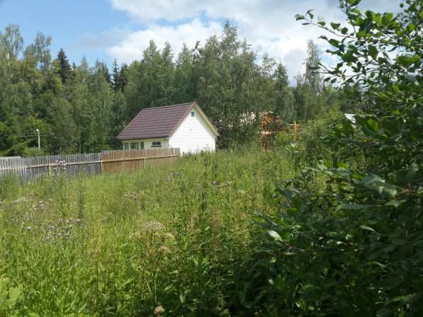 Участок 12 соток в Москве фото 4