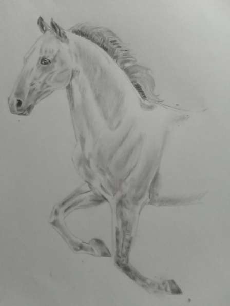 Рисунок лошади в профиль