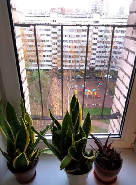 Комната 13,0 м2 в 4-ккв в кирпичном доме в Санкт-Петербурге фото 4