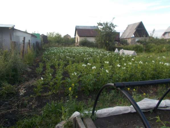 Продам сад с баней в Челябинске фото 17