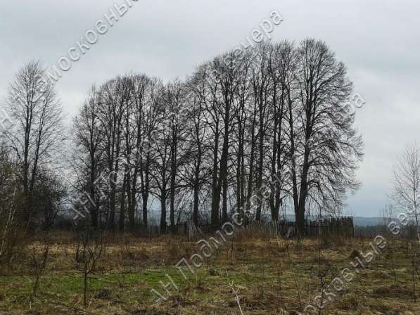 realty_mapper3.plot_in_locationПлощадь 31.00 сот.Есть Электричество, Газ. в Москве фото 14