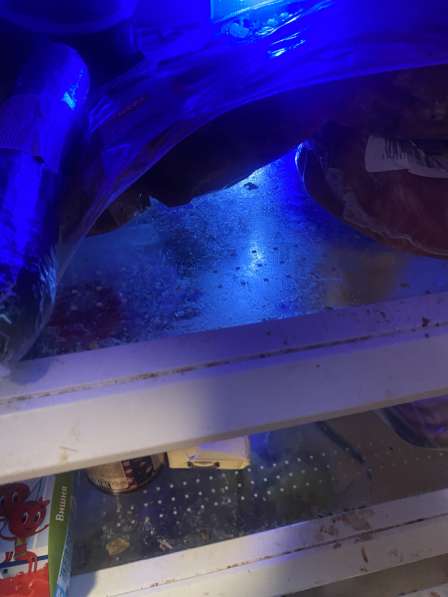 Уборка квартир в Москве фото 12