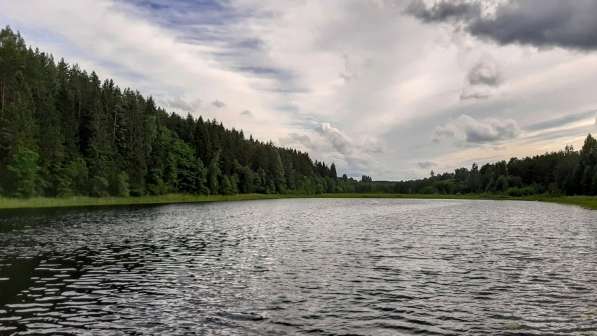 Высоко расположенный участок 54 сотки ЛПХ у чудесного озера в Пскове фото 7